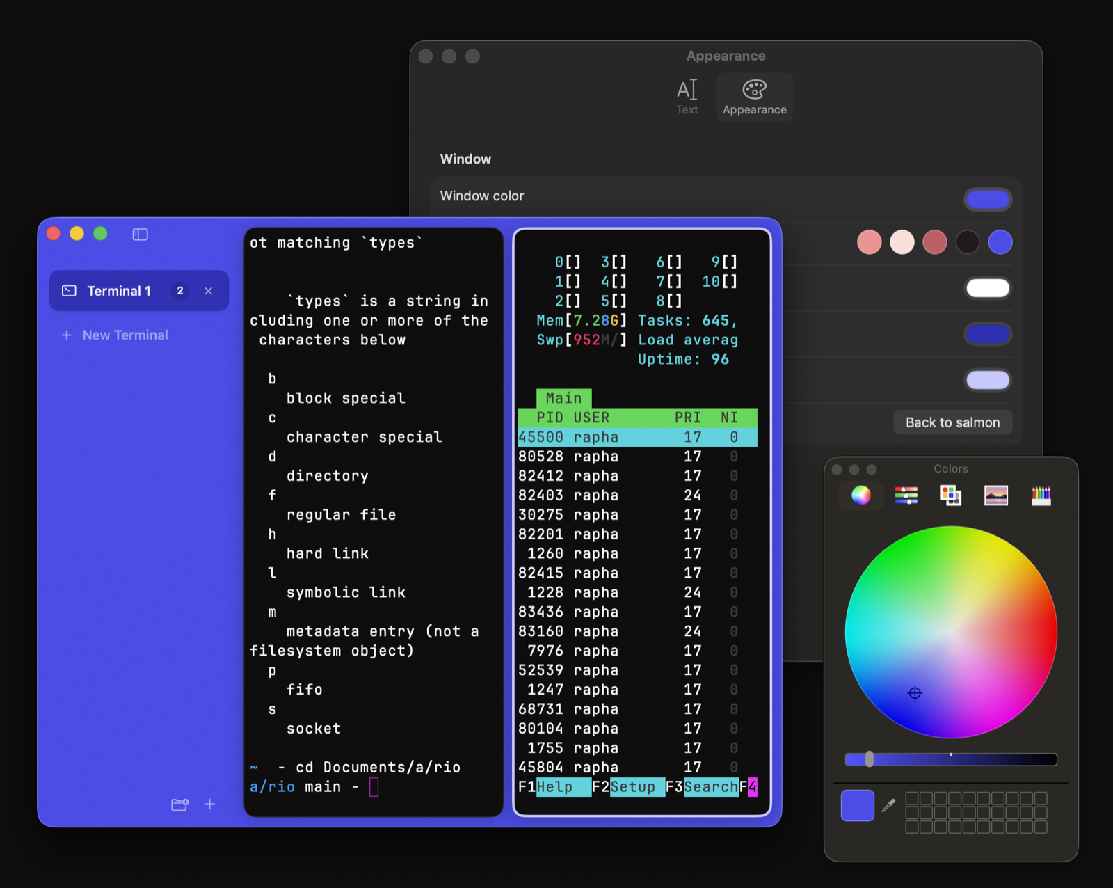 Canario themed in ultramarine beside its Appearance settings and the macOS color wheel